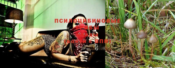 кристаллы Абаза