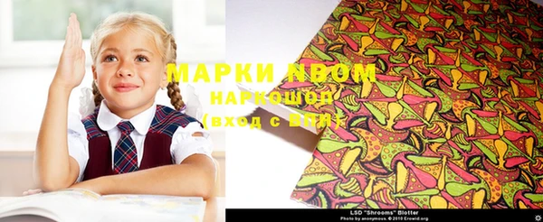спиды Новодвинск