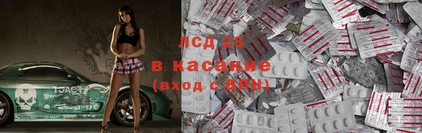 твердый Новокубанск