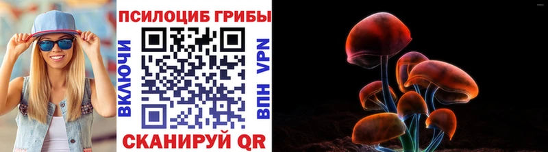 mega ссылки Ялуторовск Галлюциногенные грибы мицелий